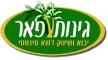 logo_ginotpeer